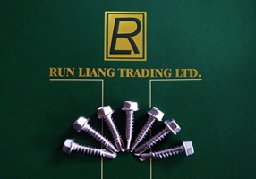 Stainless Steel Screws